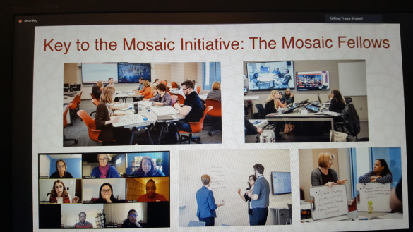 Het fellow programma van Mosaic