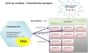 Schema van praktijkopdracht, beoordeling en opleiding