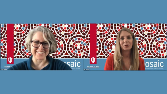 Tracey Birdwell en Julie Johnston van Indiana University over hun Mosaic programma