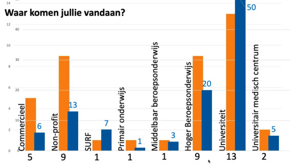 Staafdiagrammen laten zien dat de deelnemers 41 verschillende organisaties vertegenwoordigen. Het merendeel van de deelnemers werkt in het hoger onderwijs (hogescholen en universiteiten).
