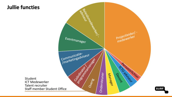 Cirkeldiagram waarin de functies van de deelnemers is uitgeplot.