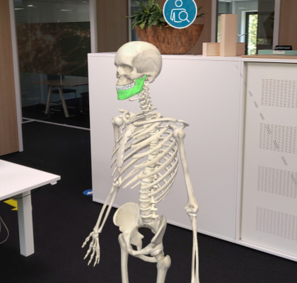User's view of a human skeleton as shown by an anatomical app (HoloHuman), running on HoloLens 2