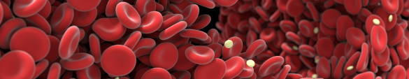 Red blood cells visualization
