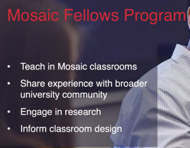 sheet met tekst over Mosaic Fellows Program
