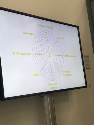 Het EMBED model op mesoniveau --> spinstructuur, alles beïnvloed elkaar.