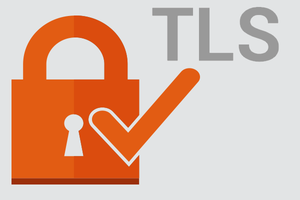Een slot met de letters TLS ernaast en een oranje vinkje erdoorheen