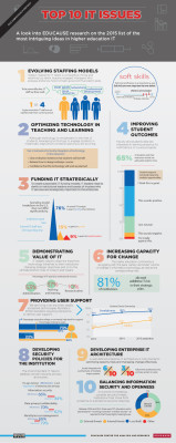 Infographic met de top 10 IT issues