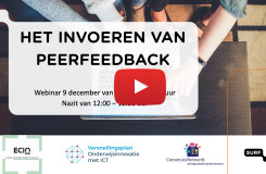 Het invoeren van peerfeedback