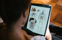 Anatomie bestuderen op iPad