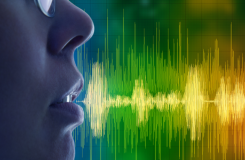 Speech recognition