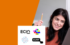 Vraagbaak Online onderwijs