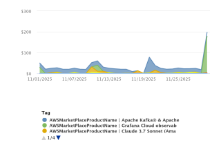 Schermafbeelding van CloudCheckr die AWS kosten laat zien gefilterd op tag key "AWSMarketPlaceProductName".