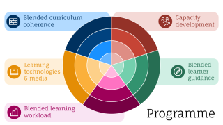 EMBED+ volwassenheidsmodel op programmaniveau