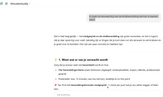 Chatbot De ‘afstudeerbuddy’