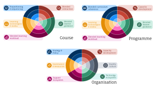 Visualisatie van de drie niveaus (course, programme, organisation) van EMBED+